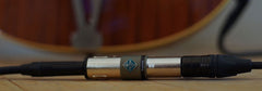 TritonAudio BigAmp