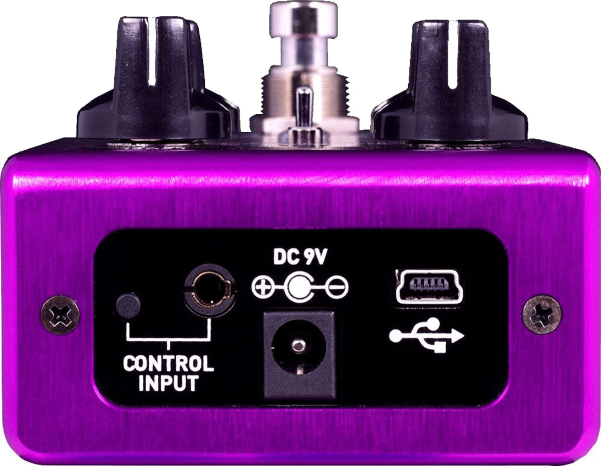 Source Audio SA 245 Kingmaker