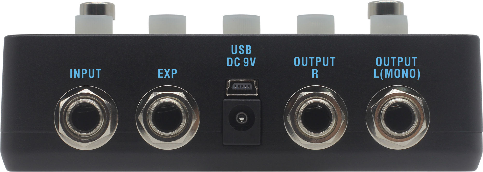 tone city pedals Hotone Binary EKO – ScaleNordic