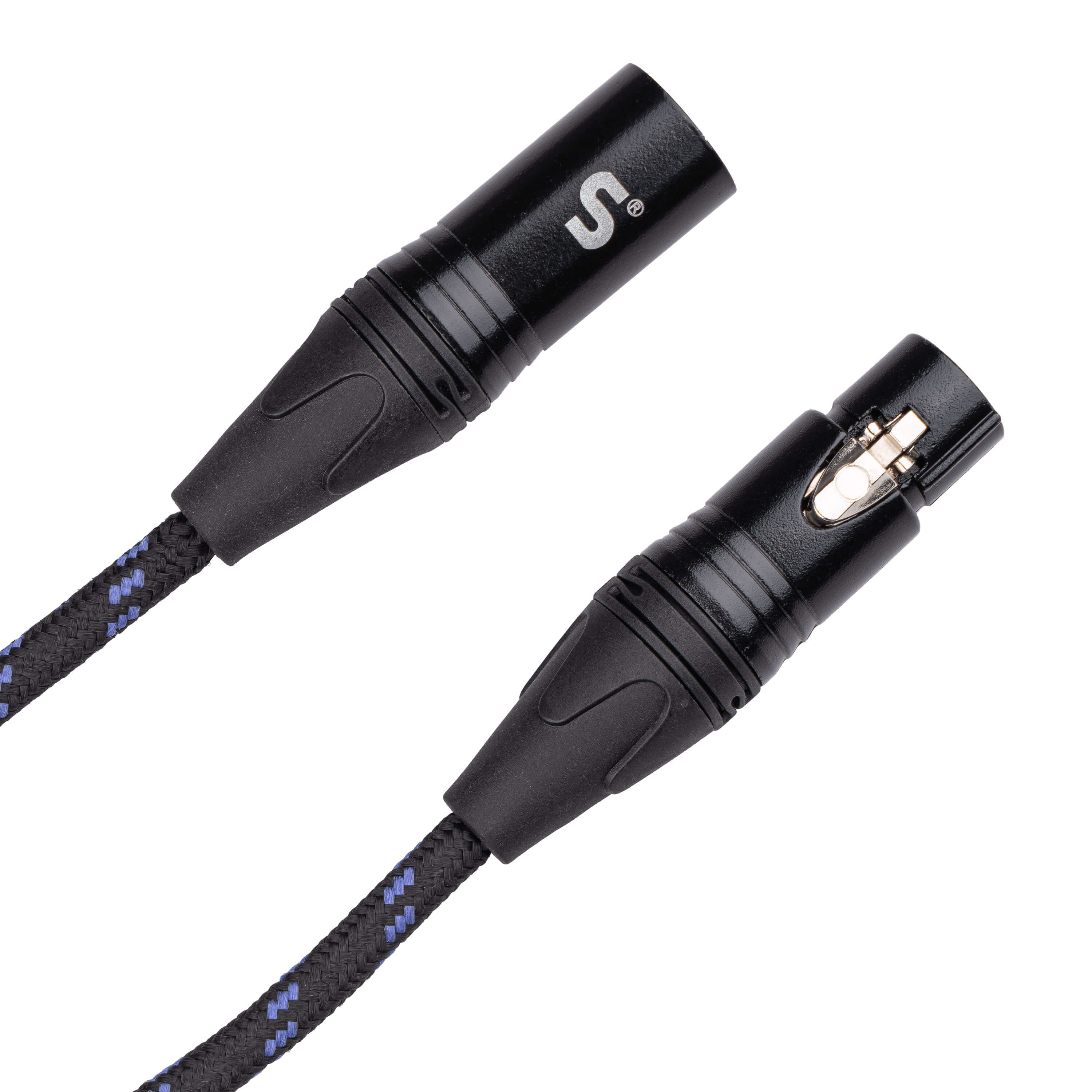 Scale SGM-FM
