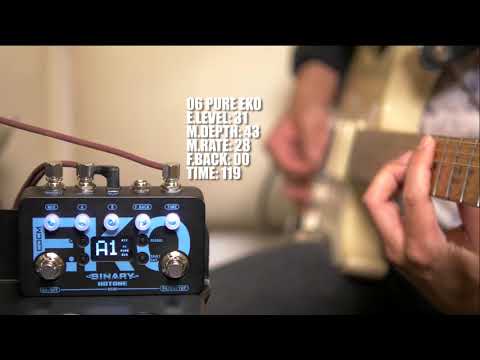 hotone eko delay pedal Hotone Binary EKO – ScaleNordic