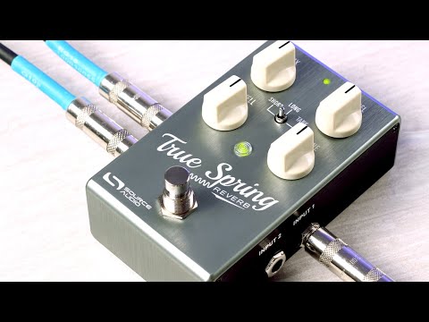 Source Audio SA 247 True Spring