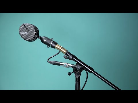 TritonAudio FetHead Filter